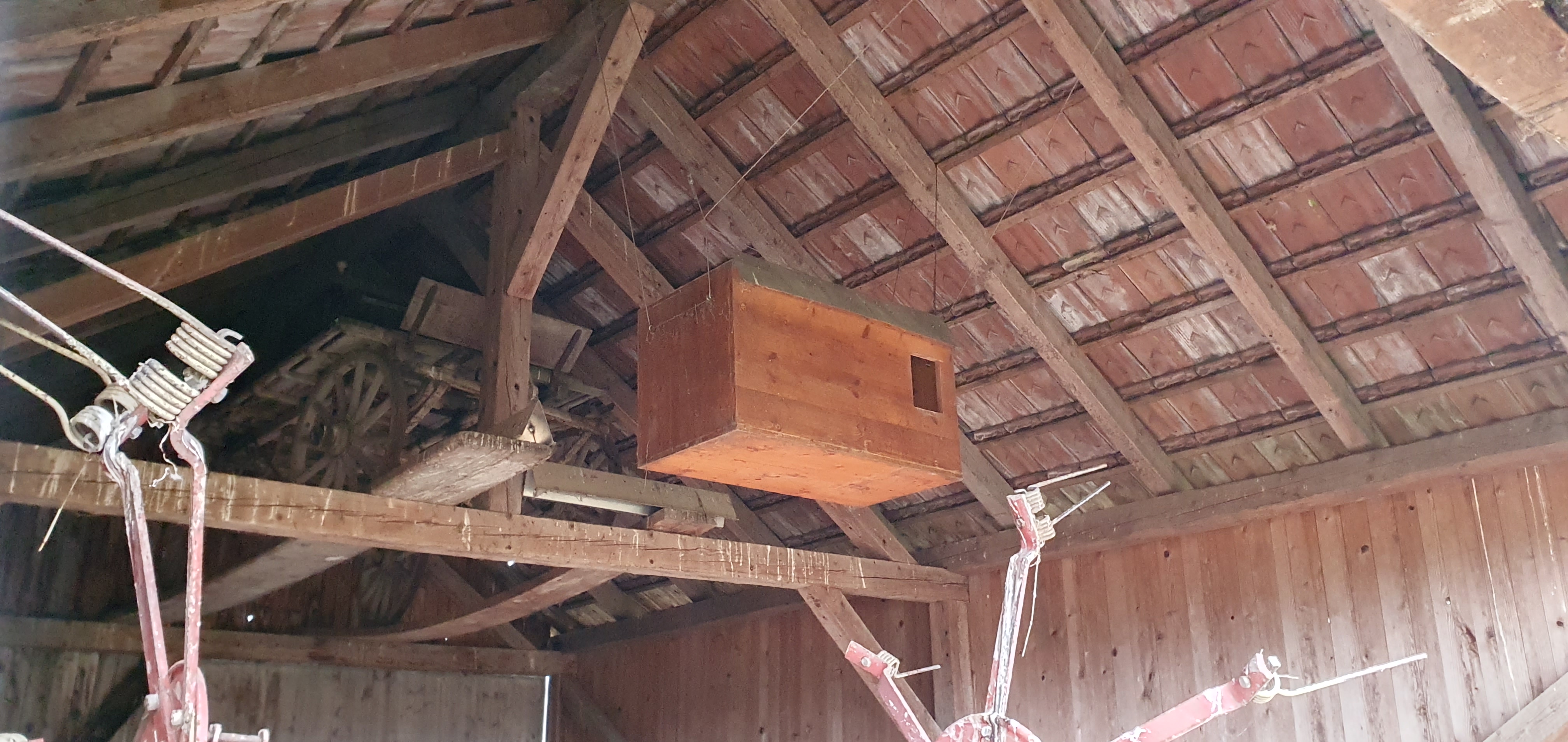 Schleiereule Nistkasten