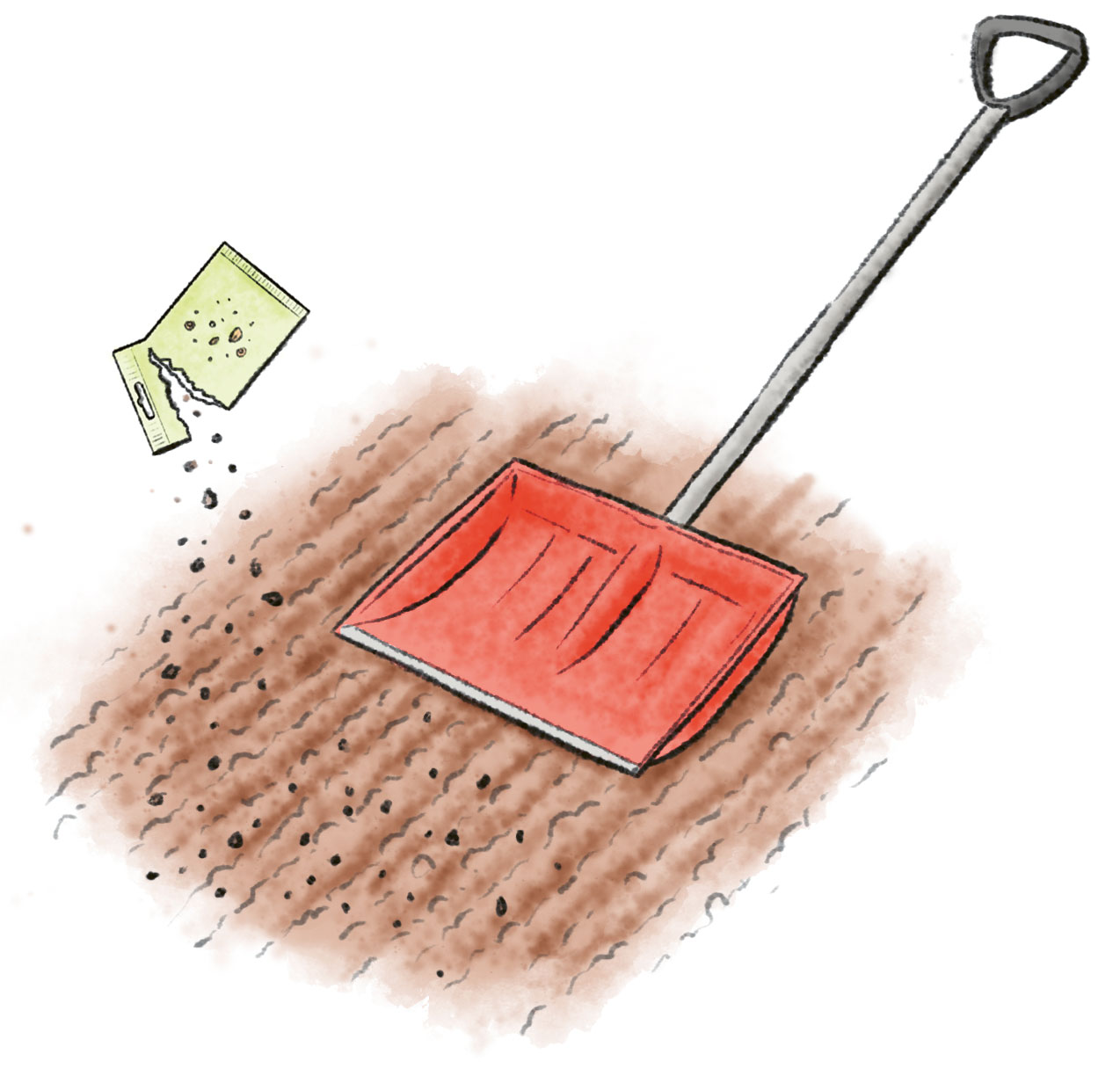 Saatgut leicht andrücken Zeichnung