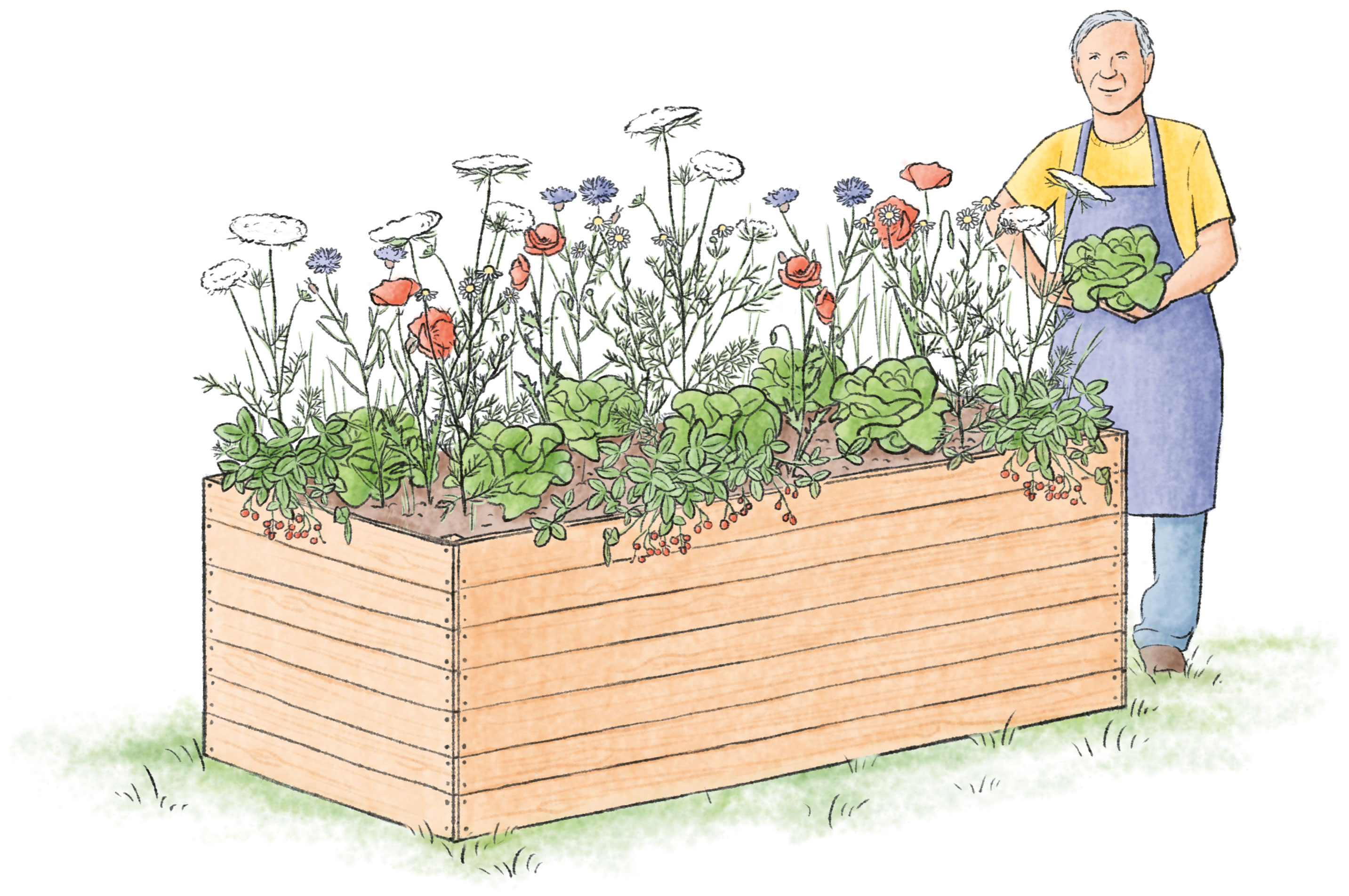 Blumenbeet Zeichnung