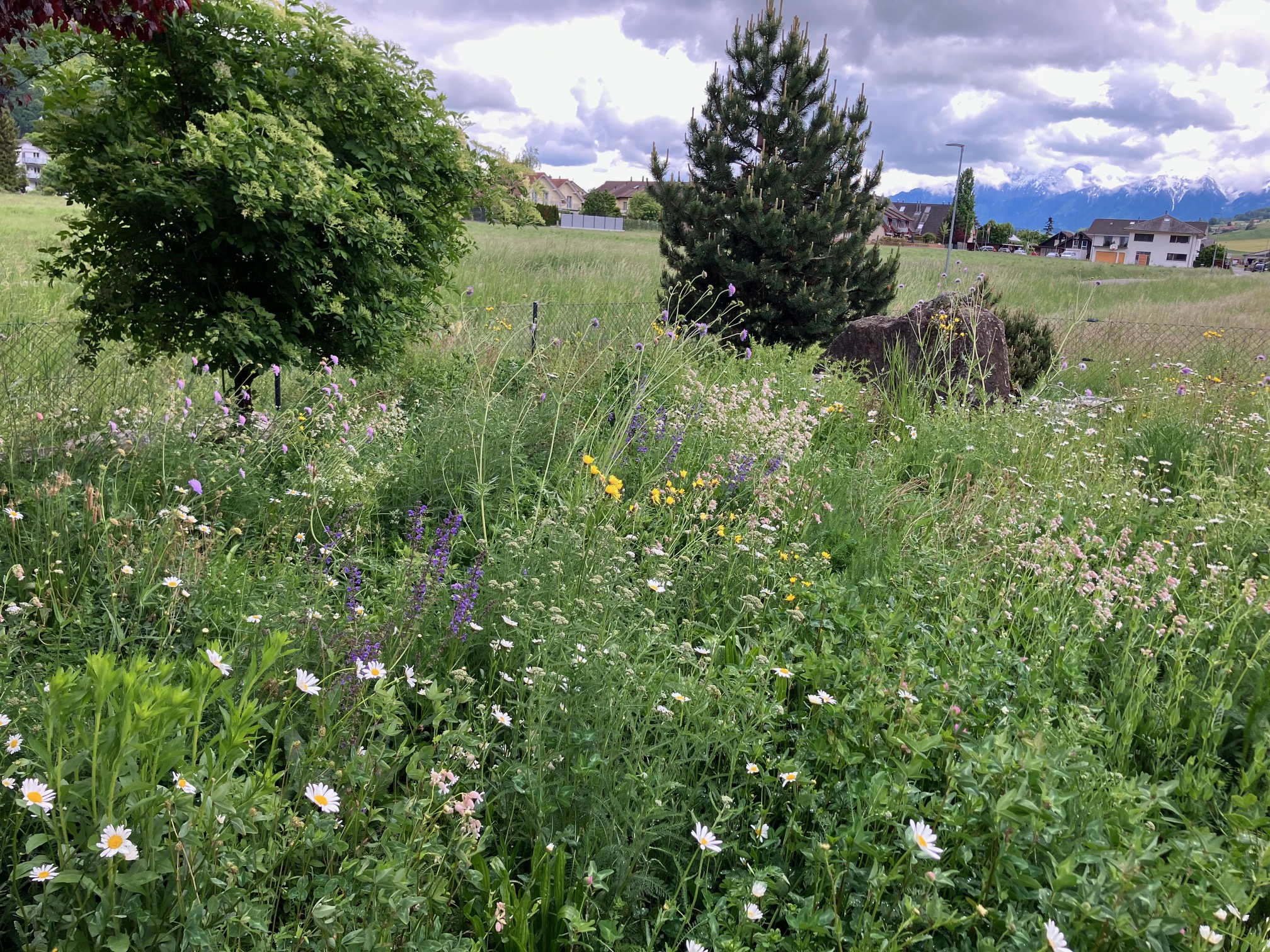 Garten in toffen