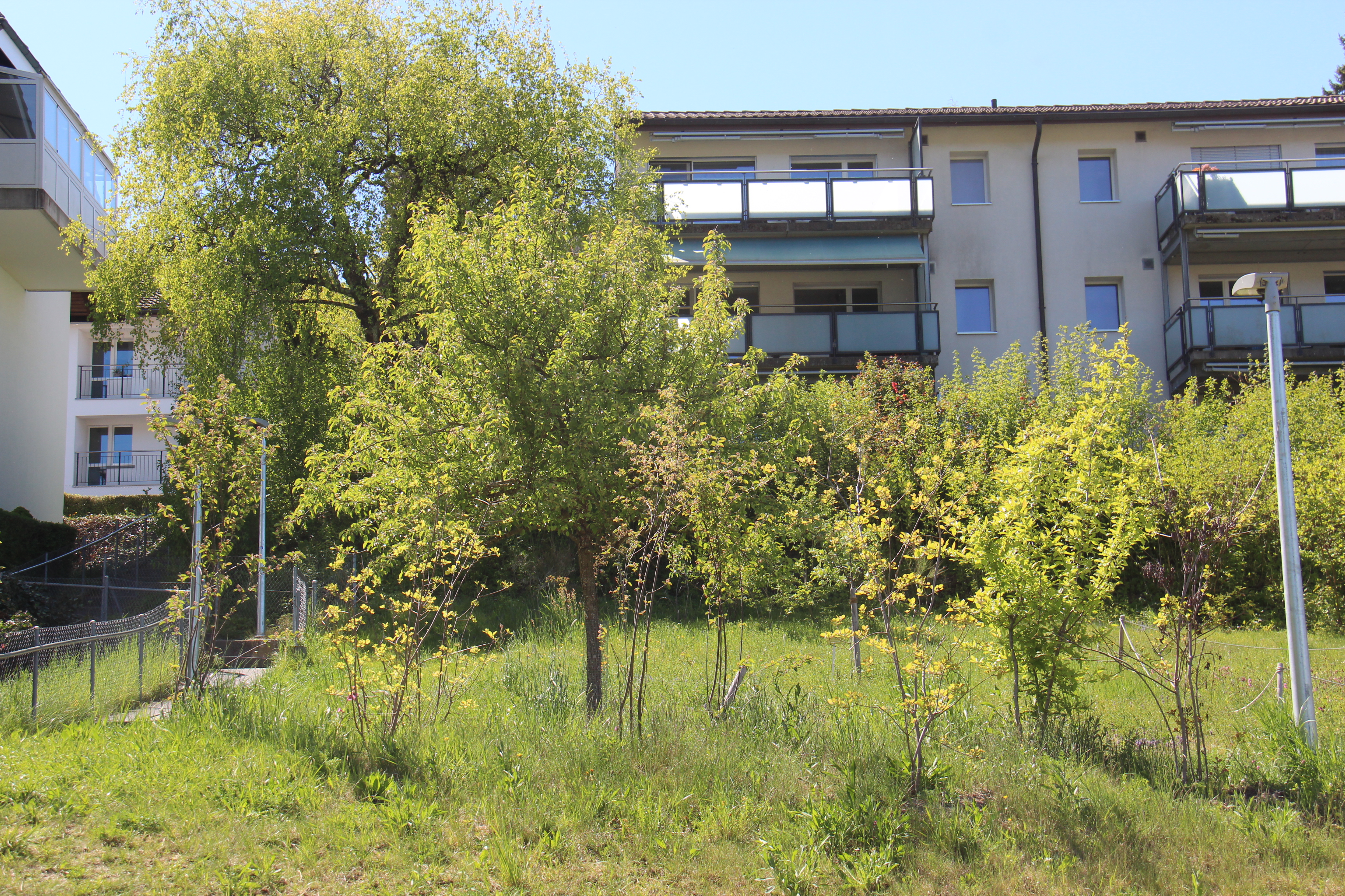 Kirchenareal Toffen