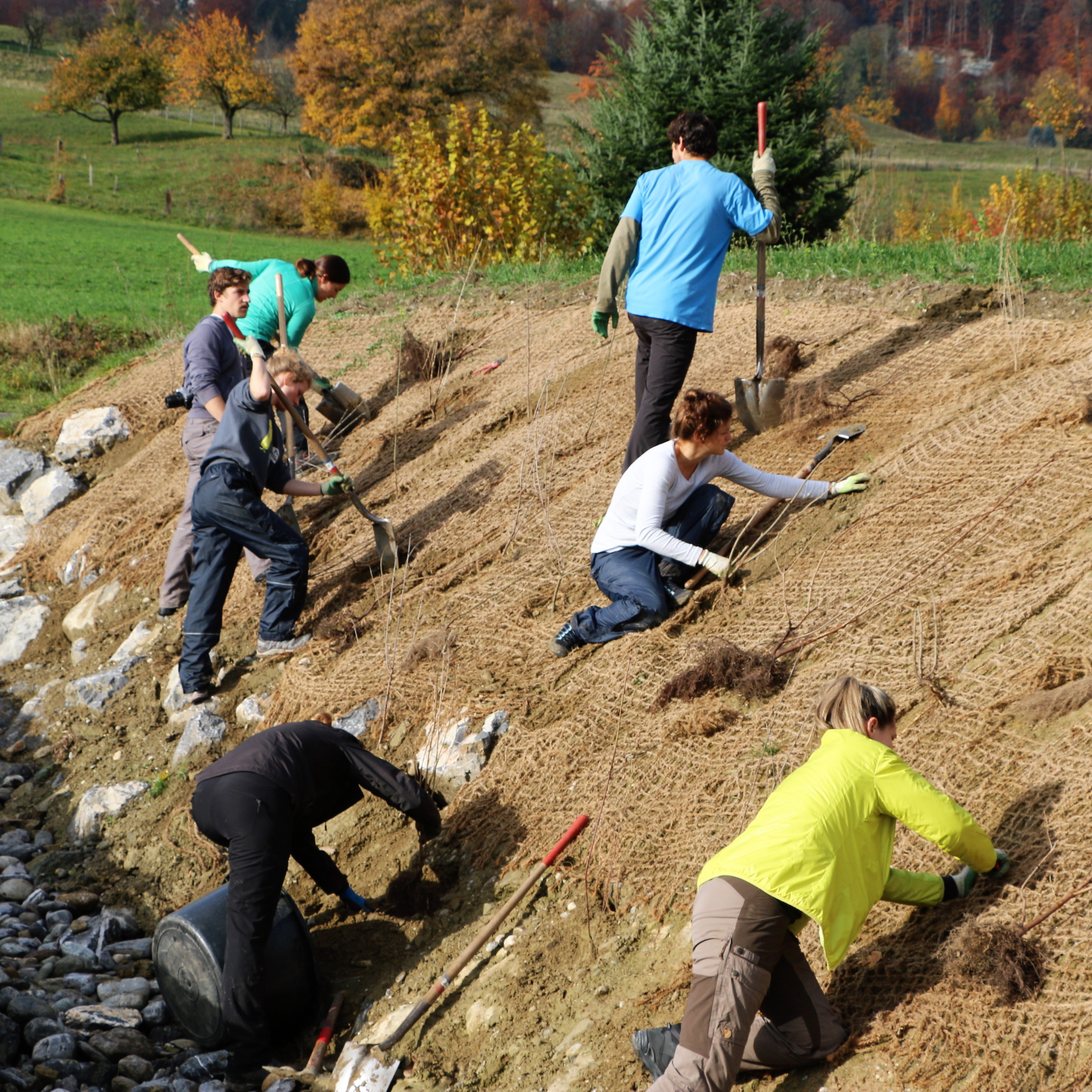 Natureinsatz Grogg Gartenbau