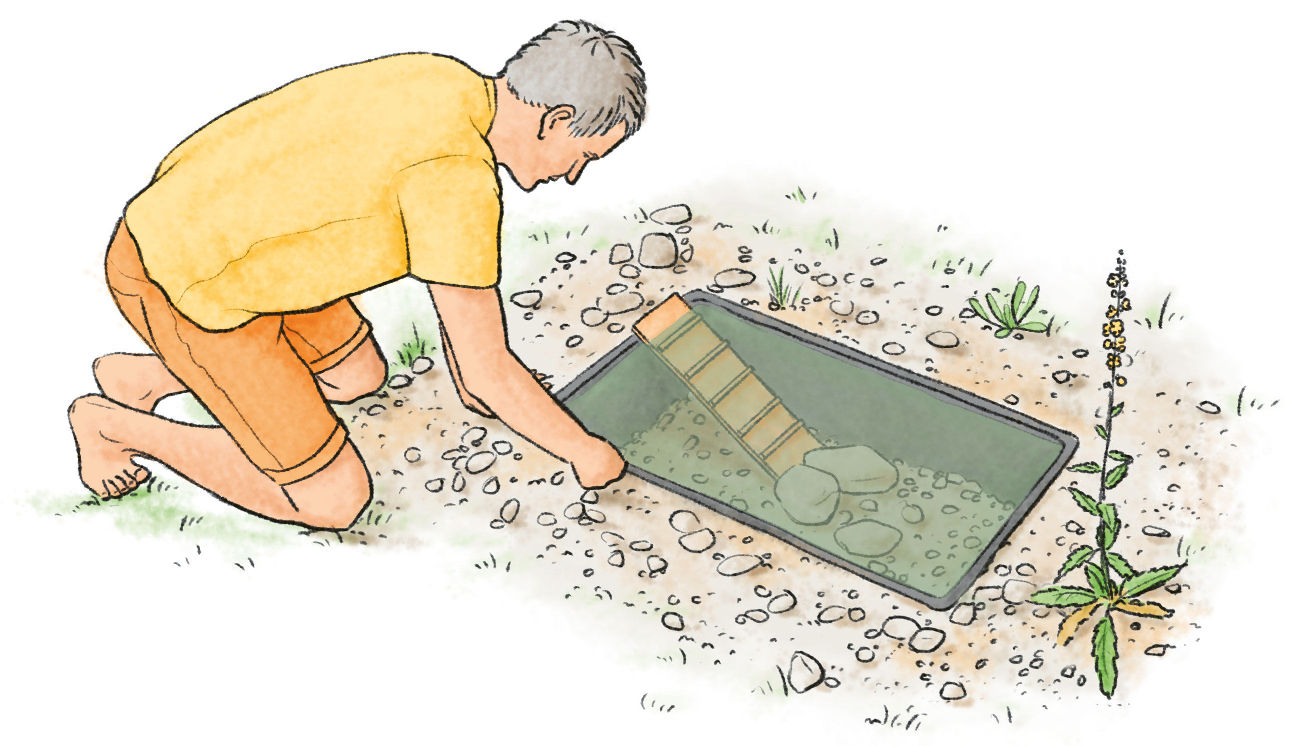 Kleiner Teich Zeichnung