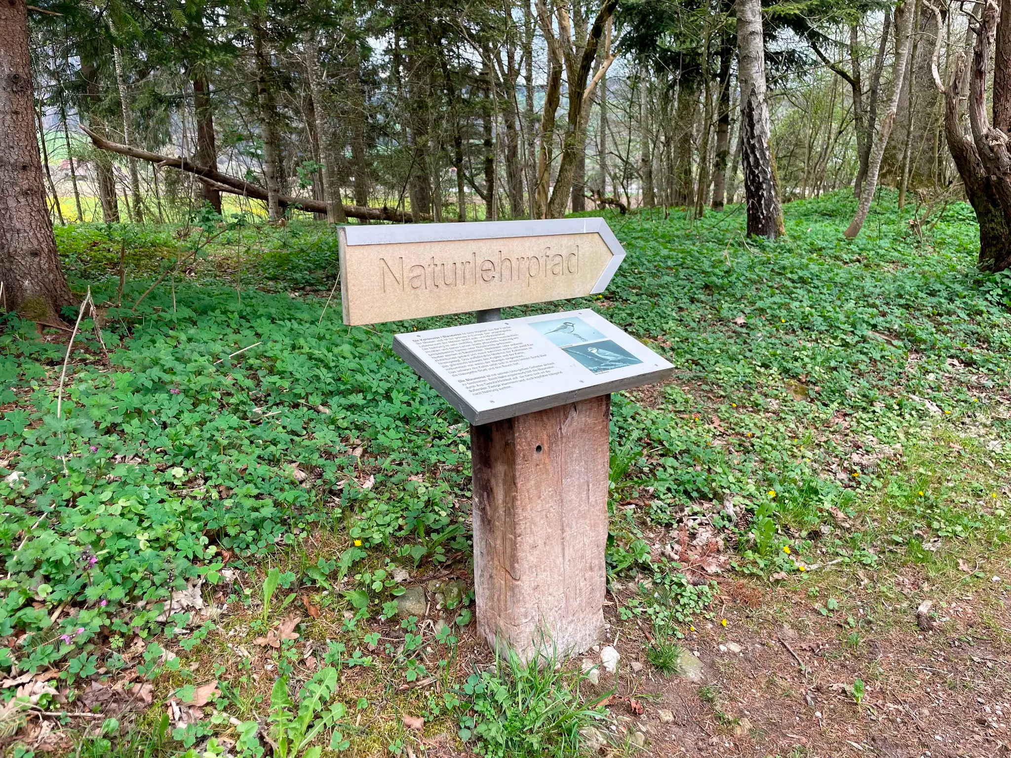 Naturlehrpfad Schild