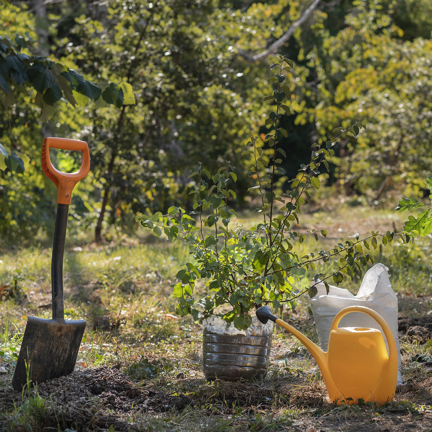 Gartenarbeit Utensilien