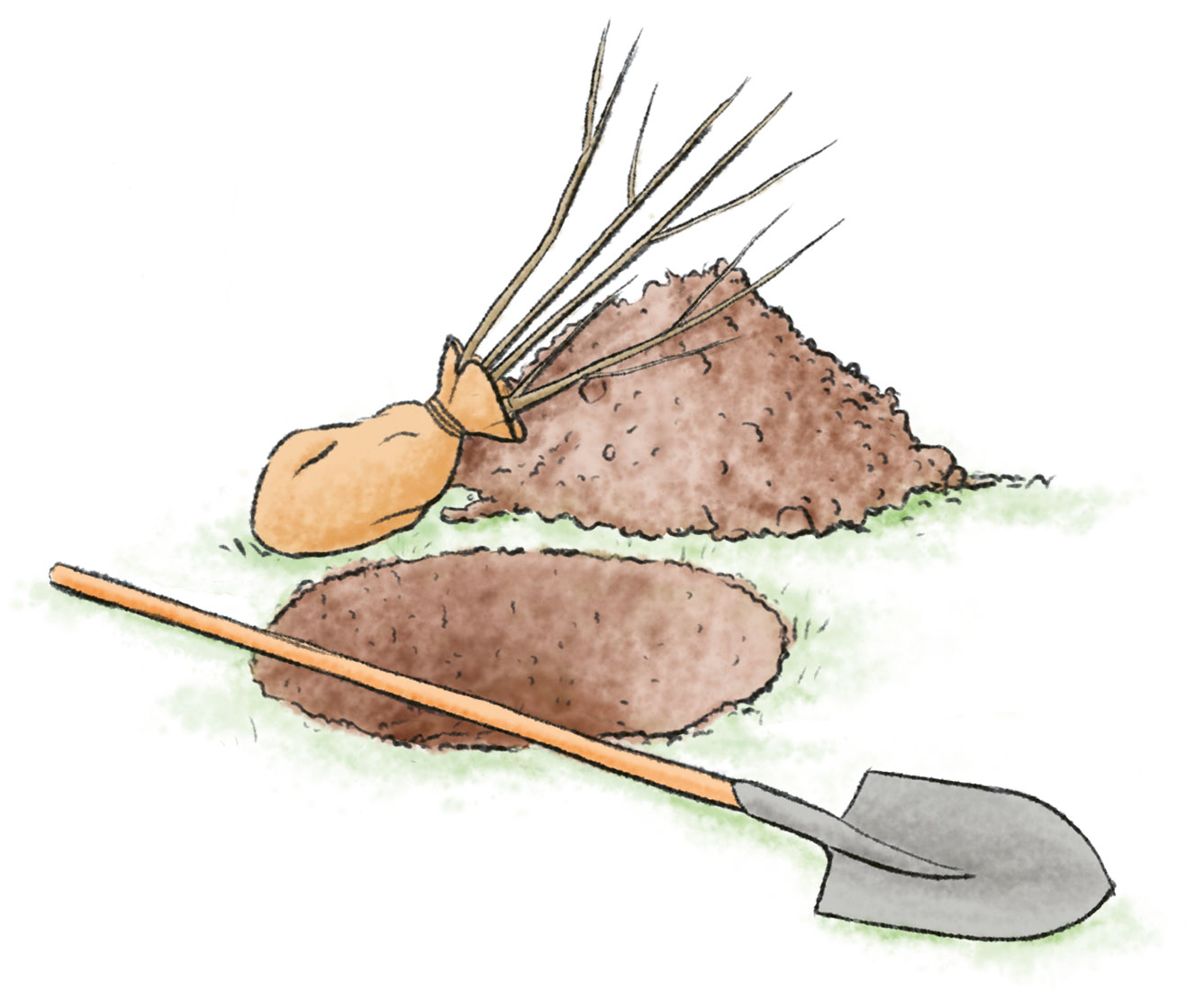 Vorbereitung Sträucher pflanzen Zeichnung